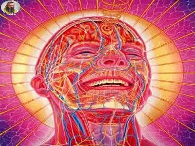 எது ஞானம்?